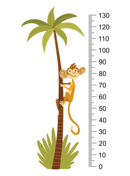 Wysokość pomiaru z wykresu linijki wzrostu z cute małpy kreskówki na palmie. Śmieszne dzieci licznik, skala ściany od 0 do 130 centymetrów do pomiaru wzrostu. Naklejka ścienna dla dzieci jako wystrój wnętrz. - Wektor, obraz