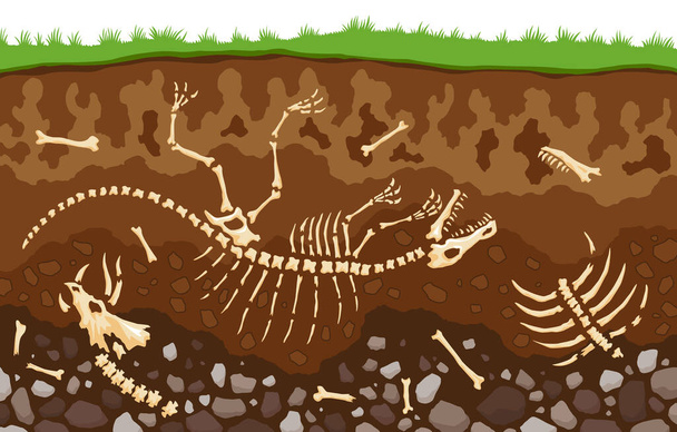 Soil layers with bones. Surface horizons with fossil reptile skeleton, upper layer of earth structure with mixture of organic matter, minerals. Buried lizard bones in dirt and underground clay layer. - Vector, Image