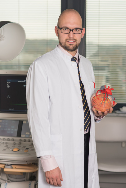 doctor in office holding a heart - Fotó, kép