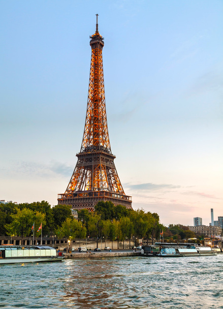 Paris cityscape with Eiffel tower - Foto, imagen