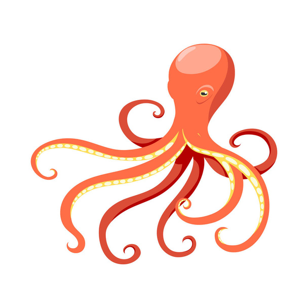 Isometrische kleur octopus 3d pictogram op witte achtergrond vector illustratie - Vector, afbeelding