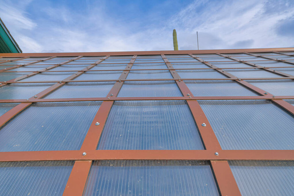 Techo de invernadero con vigas marrones pintadas y techo de fibra de vidrio en Tucson, Arizona. Primer plano de un techo contra la vista de un pico de cactus saguaro y el cielo en la parte posterior. - Foto, Imagen