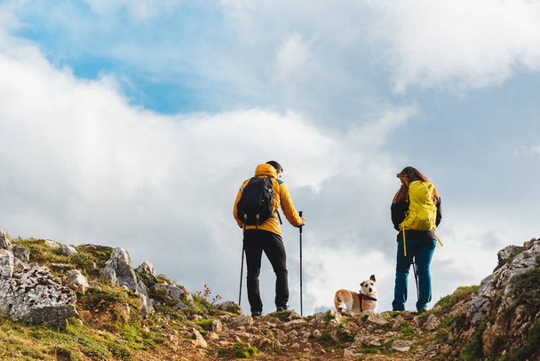 バックパックとトレッキングポールを持つ登山家のカップルは犬と一緒に高い山道をしています。野外活動。健康的なライフスタイル - 写真・画像