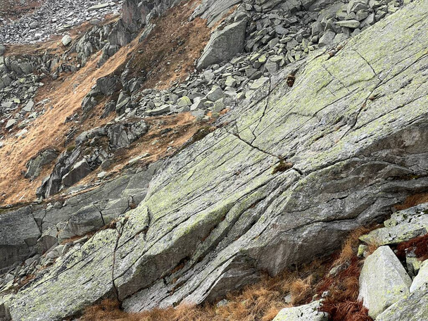 Rochers et pierres dans l'environnement alpin suisse d'automne et dans la région montagneuse du col du Saint-Gothard, Airolo - Canton du Tessin (Tessin), Suisse (Schweiz)) - Photo, image