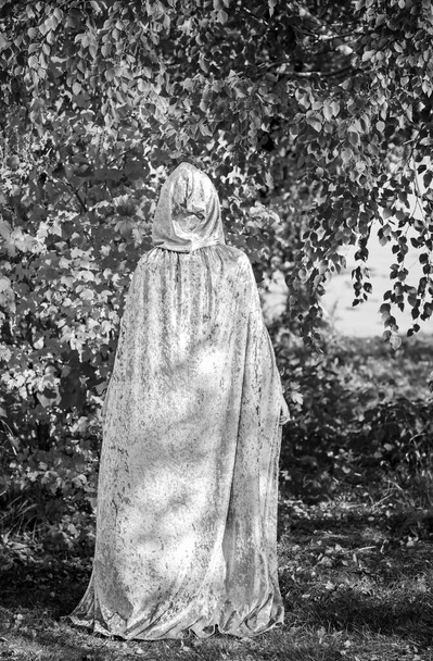Signora con lunghi capelli biondo cenere in stile nordico, elfo, donna fantasia in mantello grigio, concetto scandinavo, magia del vecchio mondo. Costume di Halloween - Foto, immagini