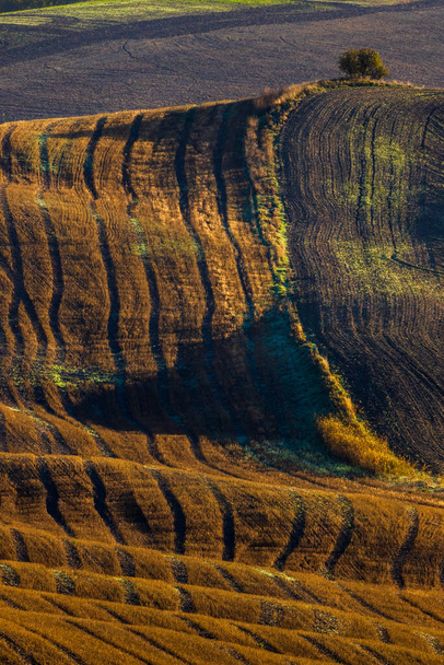 Типовий пейзаж ранкової осені Тоскани, Вал-Д'Орсія, Тоскана, Італія. - Фото, зображення