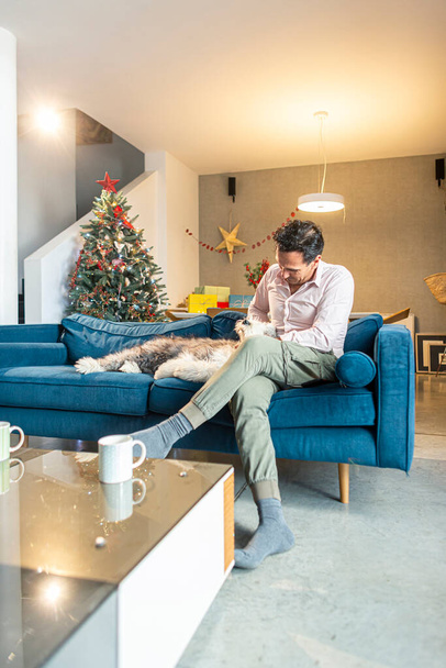 Oturma odası Noel süslemeleriyle dolu. Bir adam kanepede oturmuş köpeğini okşuyor.. - Fotoğraf, Görsel