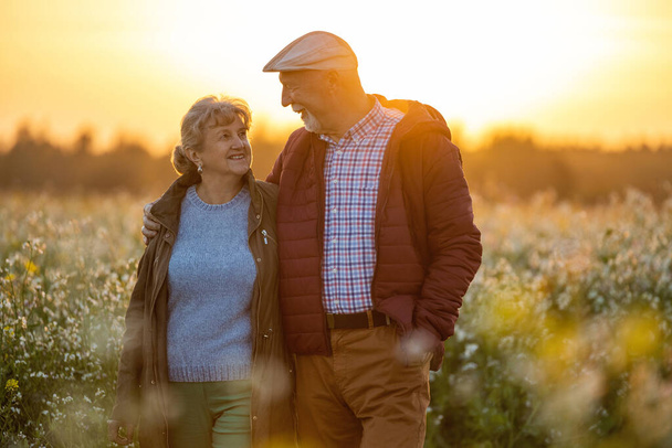 Senior couple in a field in autumn at sunset - Photo, Image