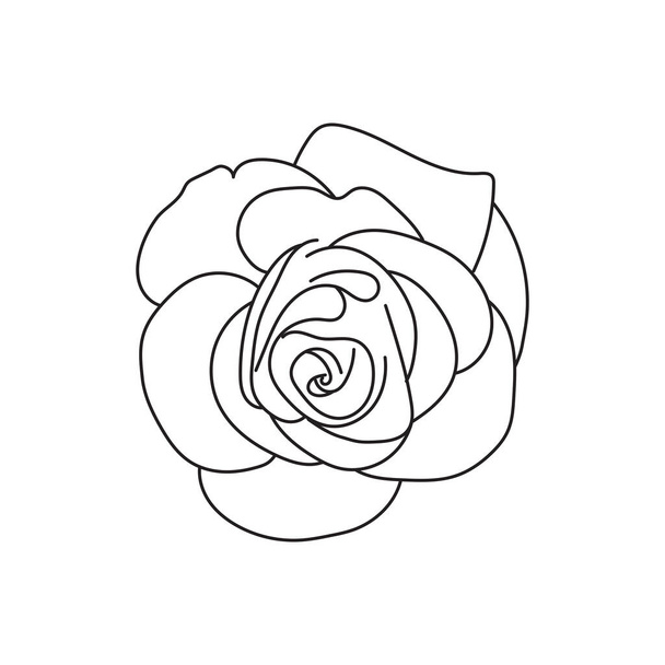 lina art rose flower - Вектор,изображение