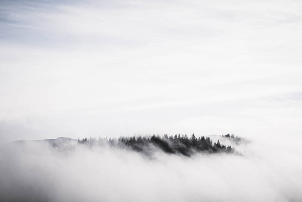beautiful landscape with fog and clouds - Photo, Image