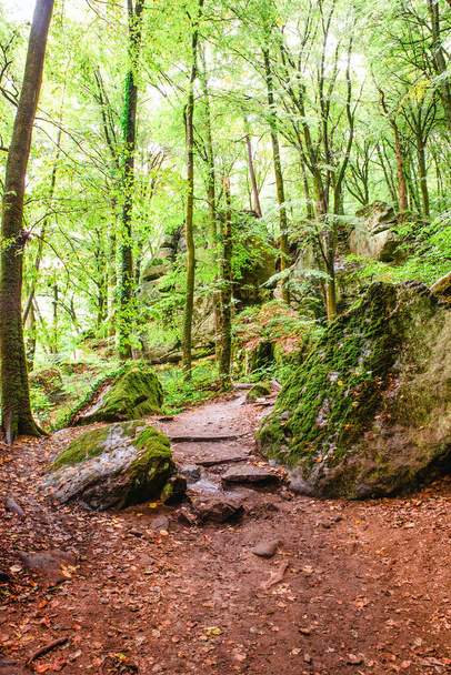 Mullerthal trail in Luxembourg between Echternach and Berdorf, hiking through a forest with sandstone rock formations - Foto, Imagen