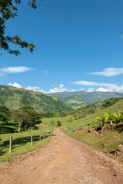 Chemin avec herbe et arbres au ciel bleu. Tamesis, Antioquia, Colombie.  - Photo, image