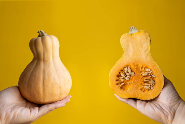 Set of fresh whole and sliced pumpkin isolated on yellow background. - 写真・画像