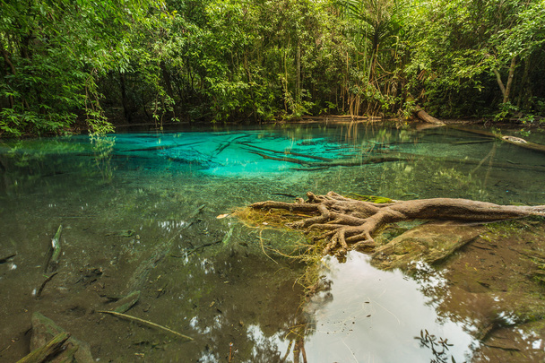 Φυσικό Blue Lagoon βρίσκεται στο πυκνό δάσος ζούγκλα - Φωτογραφία, εικόνα