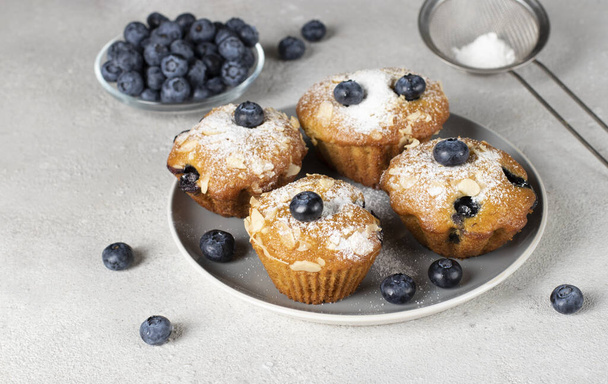 Homemade muffins with blueberry and almonds sprinkled with powdered sugar on plate on gray background - Fotografie, Obrázek