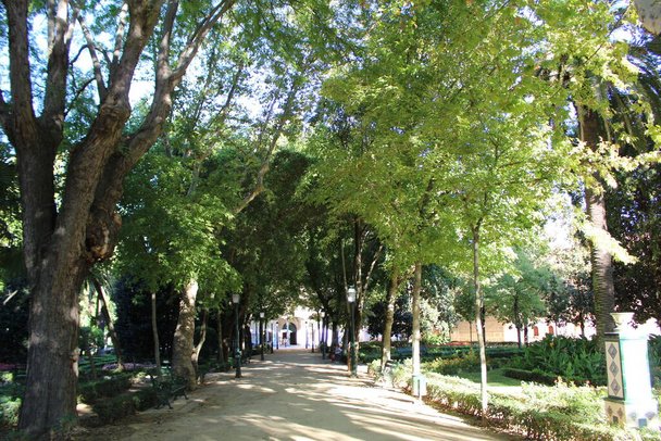 Prado Talavera de la Reinan puutarhan puisto, Toledo Espanja - Valokuva, kuva