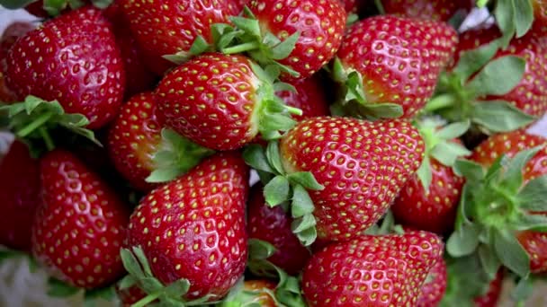 Φράουλες είναι ένα απόθεμα βίντεο που περιέχει πρόστιμο πλάνα από φρέσκες φράουλες περιστροφή.  - Πλάνα, βίντεο