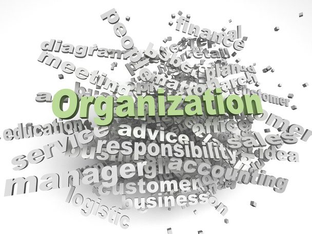 3d imagen Organization  issues concept word cloud background - Photo, Image