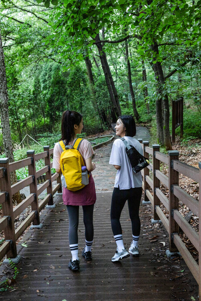 korean young women hiking and plogging_trekking mountain - Фото, изображение