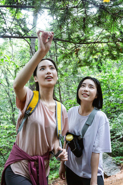 korean young women hiking and plogging_observing tree - Photo, Image