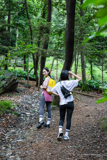 korean young women hiking and plogging_trekking mountain - Foto, afbeelding