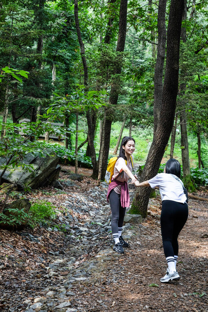 korean young women hiking and plogging_trekking mountain - Фото, зображення