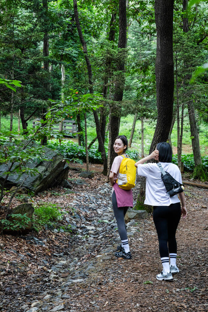 korean young women hiking and plogging_trekking mountain - Foto, immagini