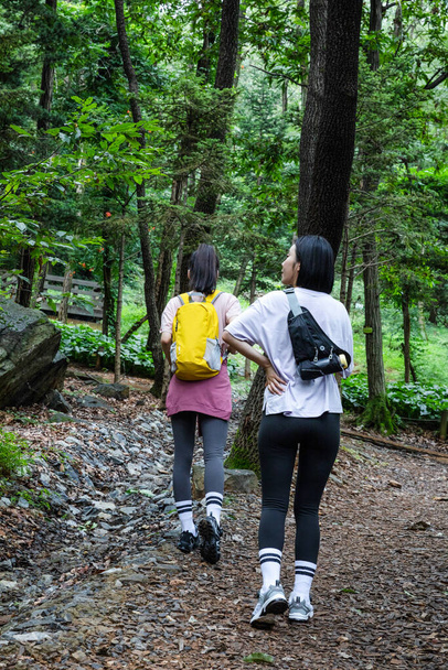 Koreli genç kadınlar dağ yürüyüşü yapıyor ve çarpışıyor. - Fotoğraf, Görsel