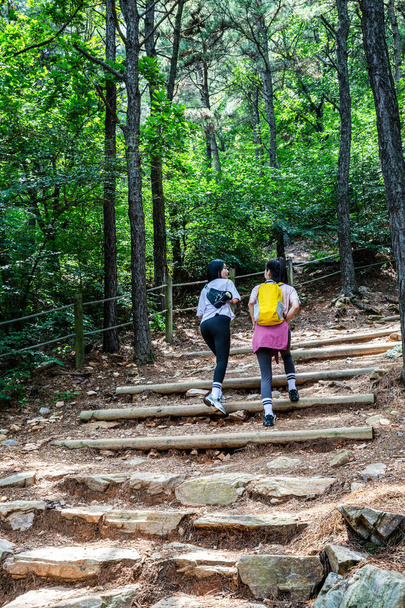korean young women hiking and plogging_trekking mountain - Fotografie, Obrázek