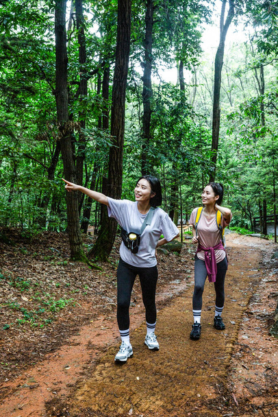 korean young women hiking and plogging_trekking mountain - Photo, image