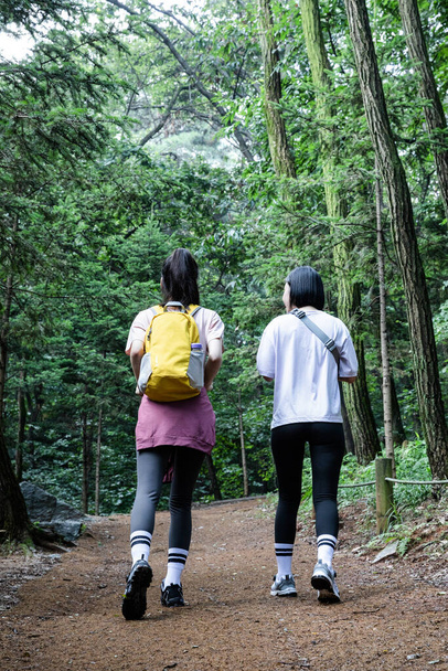 korean young women hiking and plogging_trekking mountain - Foto, immagini