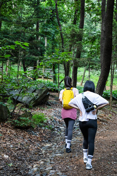korean young women hiking and plogging_trekking mountain - Foto, Imagem