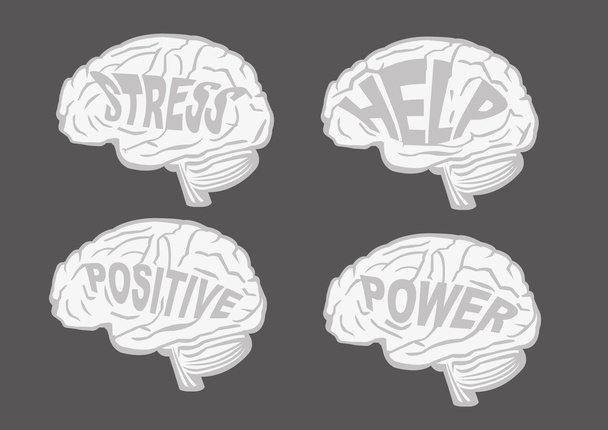 Збірка чотирьох вишуканих мозків у перегляді профілю
 - Вектор, зображення