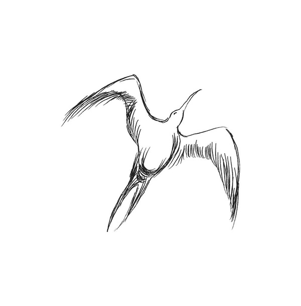 Illustrazione vettoriale di schiumatoi volanti neri disegnati a mano. Bellissimi elementi di design animale, disegno a inchiostro - Vettoriali, immagini