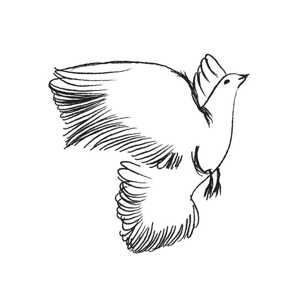 Uccello volante schizzo. Illustrazione vettoriale disegnata a mano isolata. Passero inciso, topo titolato, deglutire in stile doodle - Vettoriali, immagini