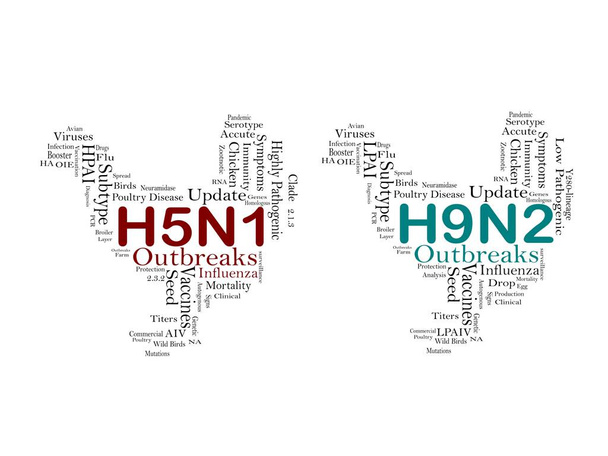 CONCEITUAL. Surtos H5N8, h5n1, h9n2, subtipo HxNy do vírus da gripe aviária, novo vírus mutante - Foto, Imagem