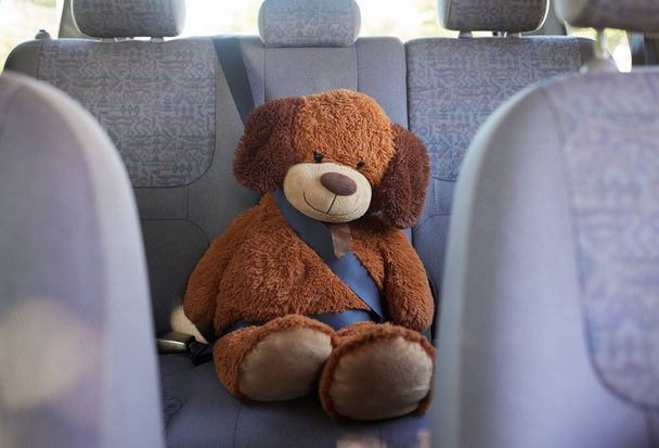 Teddy bear, seatbelt and safety on the back seat of a car while on a road trip, journey and travel with transport, insurance and vehicle. Passenger, protect and safe driving with a stuffed animal toy. - Φωτογραφία, εικόνα