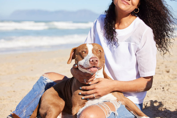 ねえ、この日焼けの事はとても悪いです。かわいい犬と一緒にビーチで一日を過ごす女性は - 写真・画像