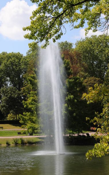 high jet of water from the fountain in the middle of the pond in the public park - Photo, image