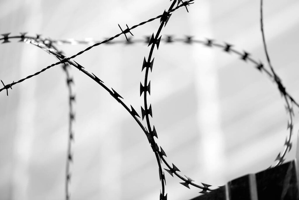 alambre de púas de un campo de refugiados para evitar escapes con un efecto blanco y negro - Foto, Imagen