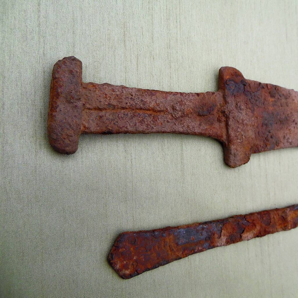 Scythian miecz i nóż z uchwytem w stylu zwierzęcym (5-3 wieki pne) na tle kory drzewa, akinak miecz - Zdjęcie, obraz
