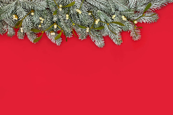 Karácsonyi hó fenyő fagyöngy háttér határ. Hagyományos pogány természet összetétele téli napforduló, újévi ünnepek a piros. - Fotó, kép