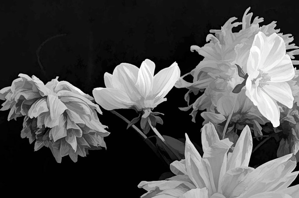 black and white monochrome floral shot, beautiful flowers, close up view - Photo, image