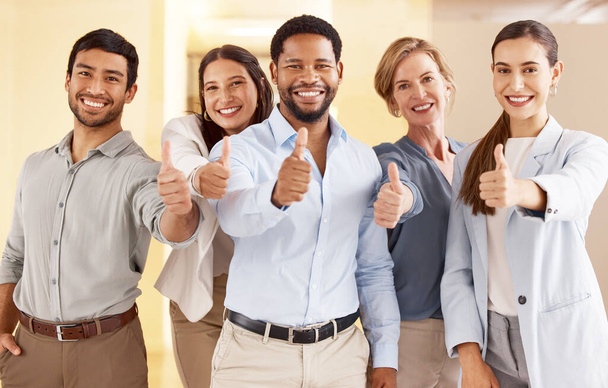 Success is an accumulation of your daily efforts. Portrait of a diverse group of businesspeople showing thumbs up together in an office - Foto, Imagen