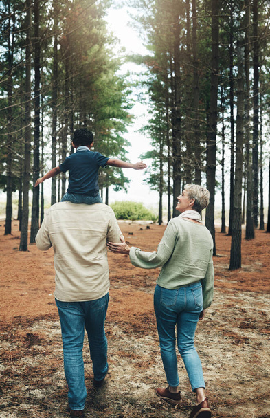 Família, avós e caminhar com a criança em uma floresta para a felicidade, saúde e amor juntos. Cuidados, amor e madeiras com casal de idosos e criança na natureza para a ligação, sorriso e felicidade no outono. - Foto, Imagem