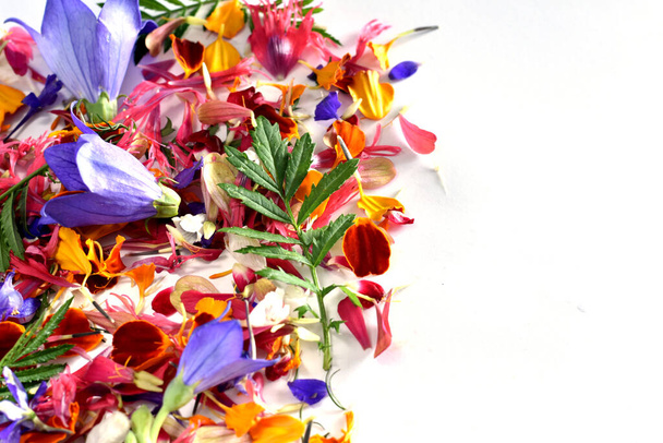 Padrão de textura composto por pétalas de flores coloridas em branco. - Foto, Imagem