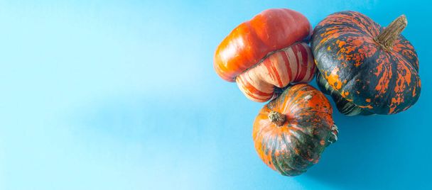 Pumpkins banner on blue background. Different varieties. Orange, green and gray pumpkin. Autumn harvest. Halloween and Thanksgiving food. Variety Turkish turban. Copy space. - Φωτογραφία, εικόνα