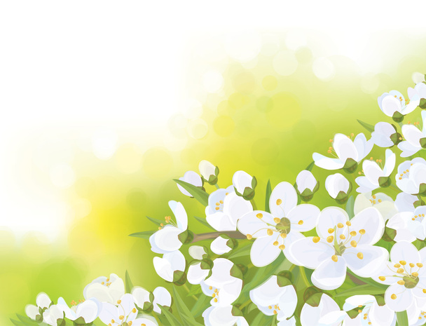 Árbol en flor de primavera
 - Vector, imagen