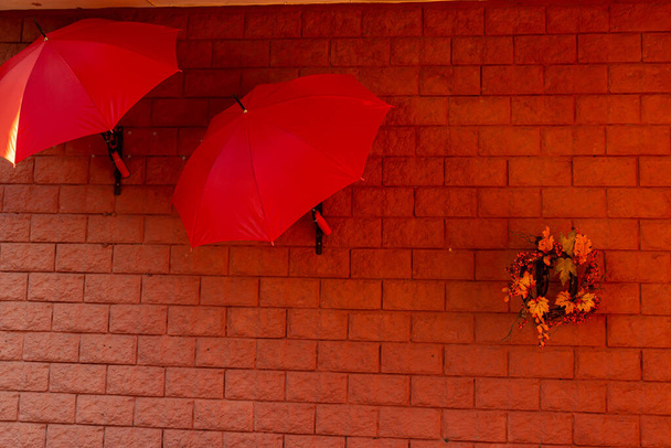 Kirkas ja värikäs sateenvarjot koristella ravintola. Talo peitetty villi viinirypäleet punainen sateenvarjo kukkaruukku - Valokuva, kuva