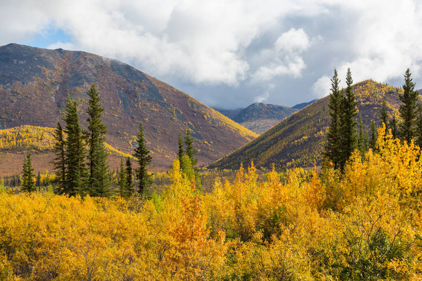 Autumn season in mountains. Colorful natural background. - Valokuva, kuva